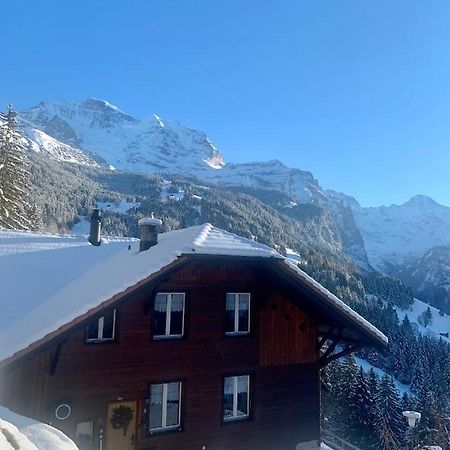Chalet Aargovia Wengen Extérieur photo