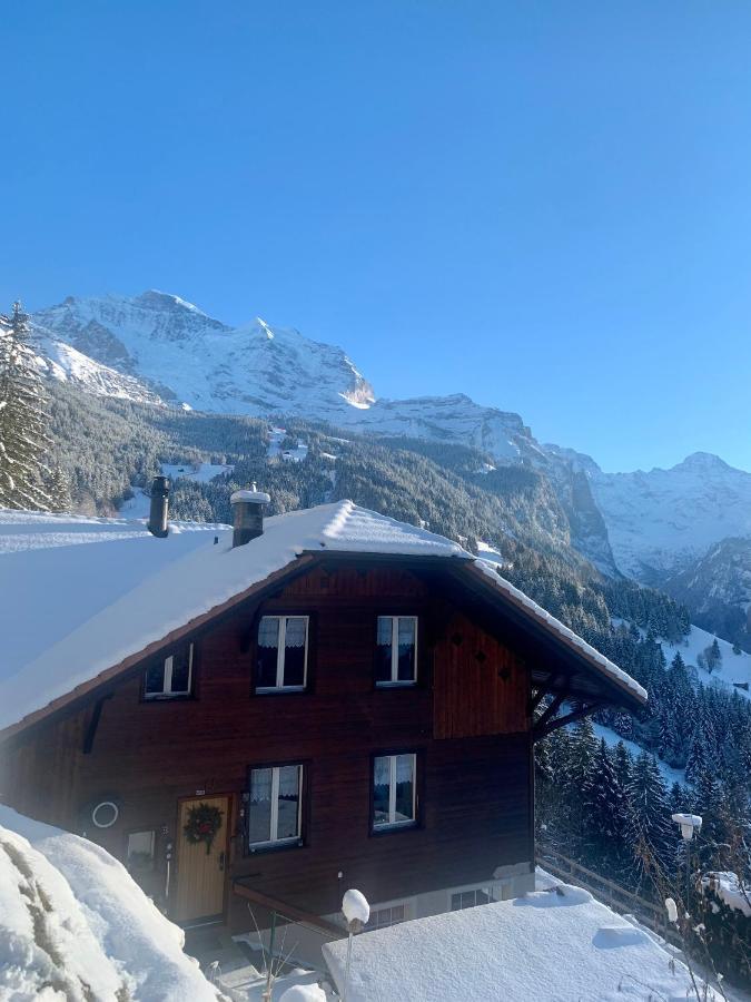 Chalet Aargovia Wengen Extérieur photo
